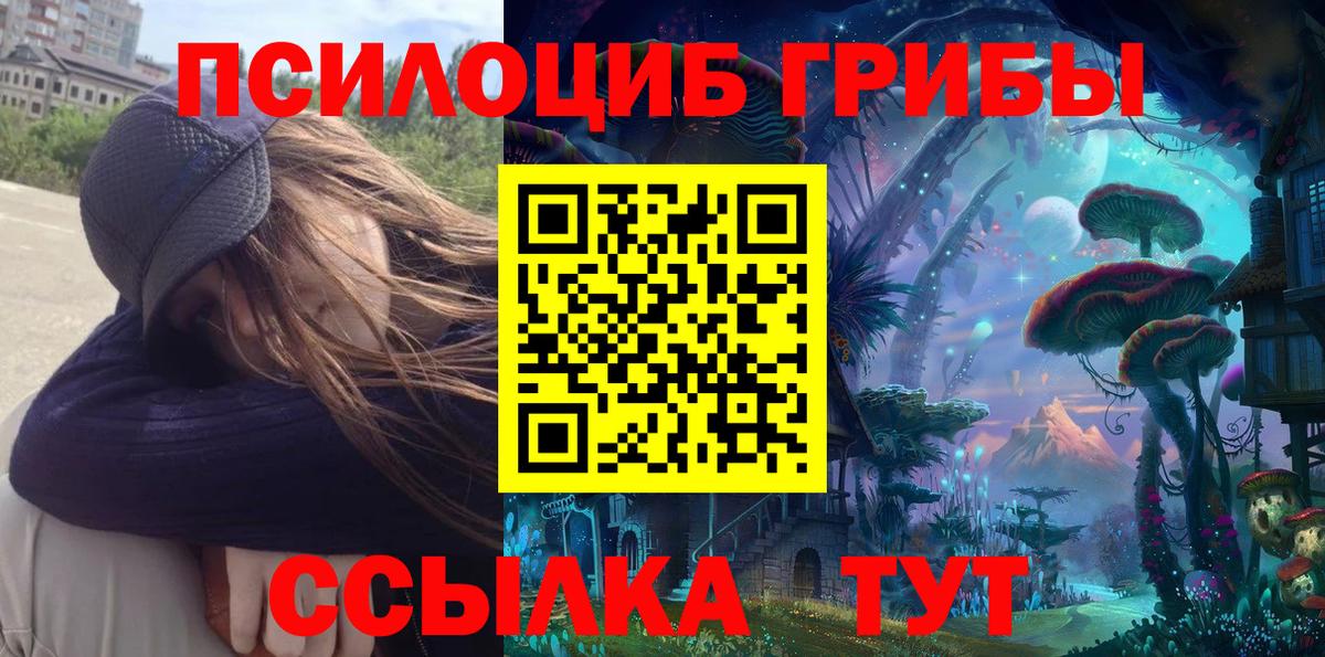 Жигулёвск  Псилоцибиновые грибы Psilocybine cubensis  Вход с VPN 