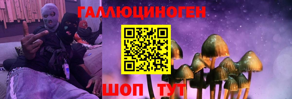 Псилоцибиновые грибы Psilocybe Жигулёвск
